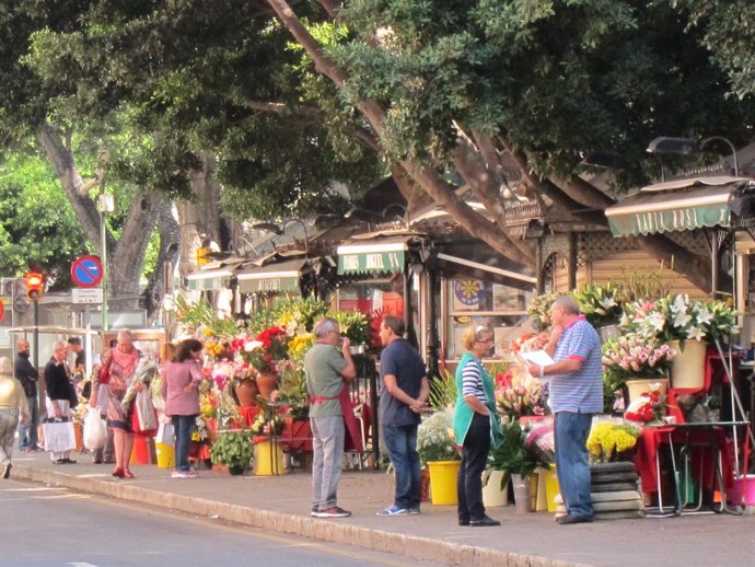 Santos, Día de todos los santos, difuntos, Flores, flor, colores