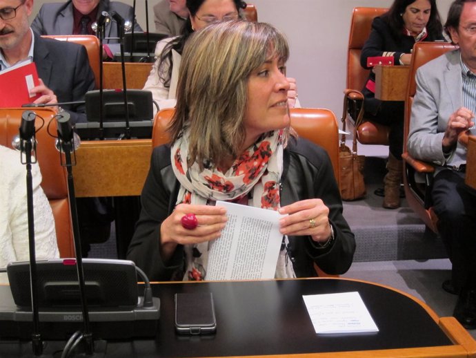 La alaldesa Núria Marín (PSC) en su último pleno de la Diputación de Barcelona