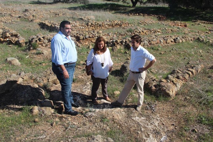 Diputados del PP visitan el yacimiento arqueológico de Tejada la Vieja.