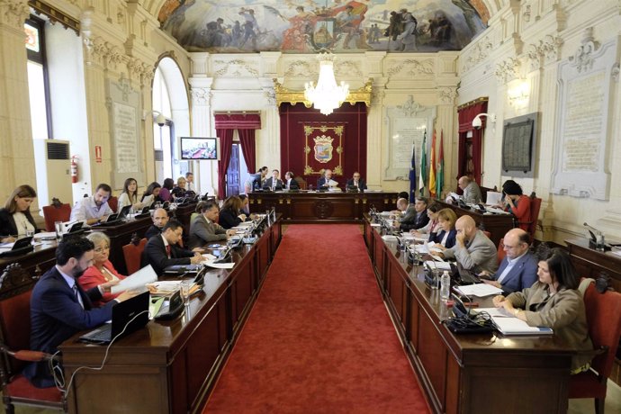 Pleno del Ayuntamiento de Málaga de octubre 2014