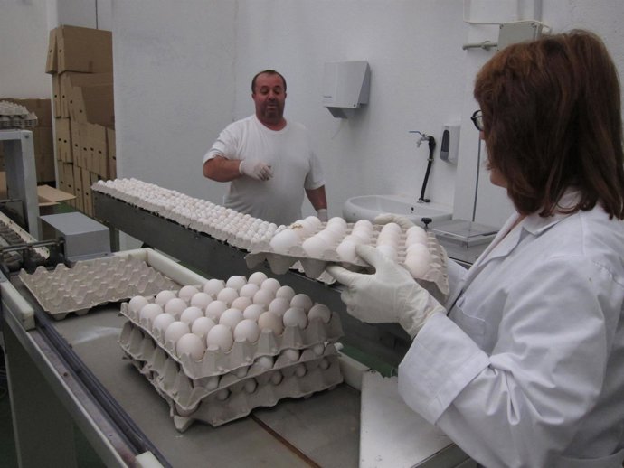 Etiquetado de huevos en el Banco de Alimentos de Salamanca