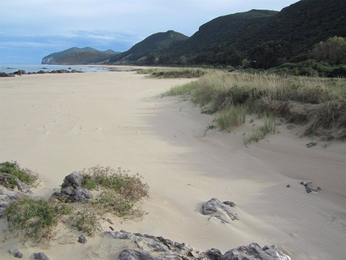 Playa de Trengandín en Noja 