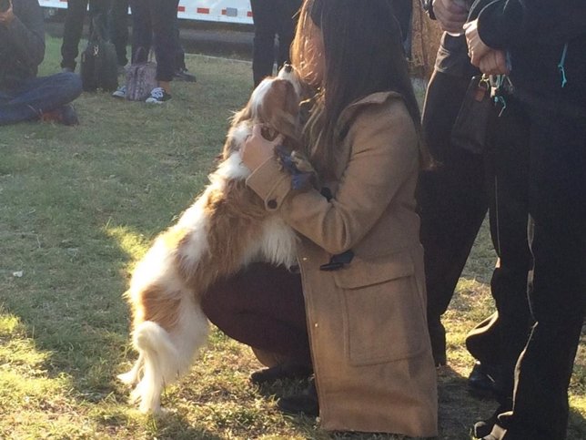 Nina Pham y su perro Bentley se abrazan tras superar el ébola
