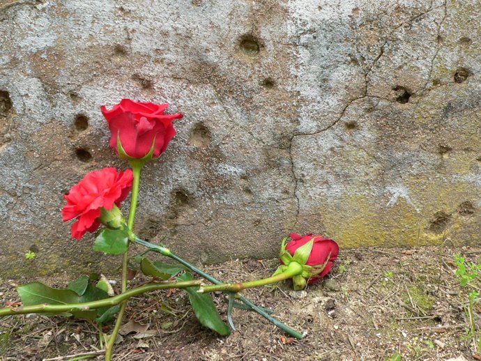 Rosas en el paredón de España de Paterna