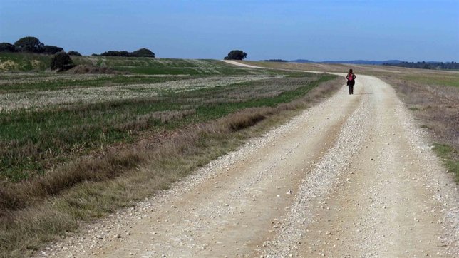 Vicente Lachén, 'Walking'.