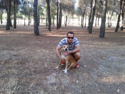 Javier Limón y Teresa Romero junto a su perro excalibur