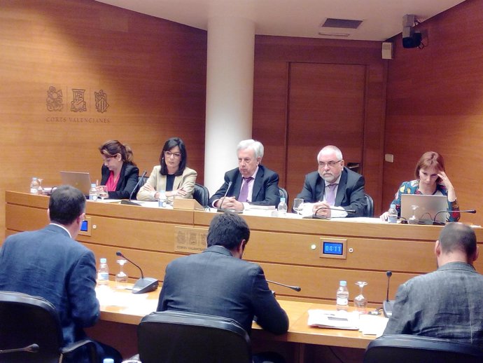 Cristina Macías comparece en las Corts