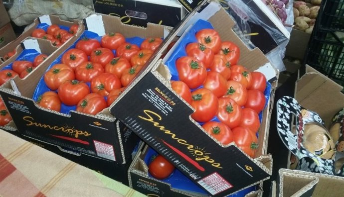 Tomate procedente de Marruecos