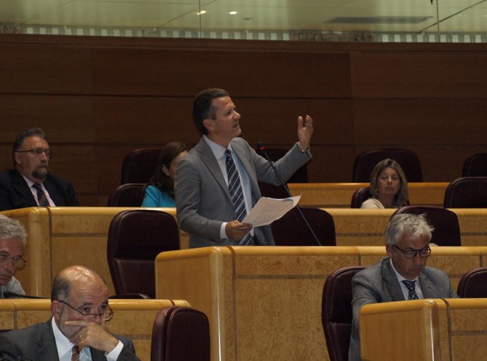 El portavoz del PNV en el Senado, Jokin Bildarratz