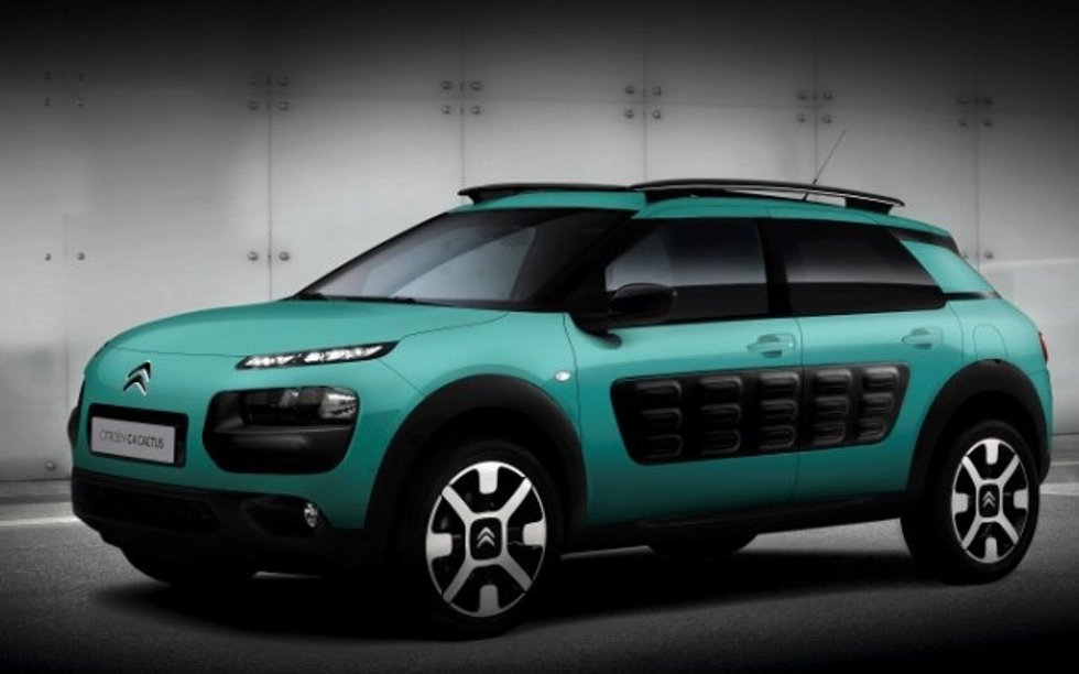 Cactus Puretech