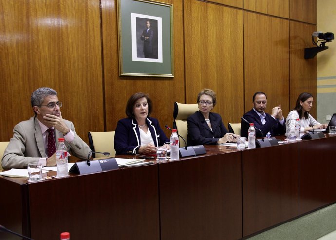 Comisión de prusupuestos 2015 en el Parlamento