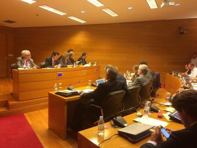 Císcar en su comparecencia en las Corts