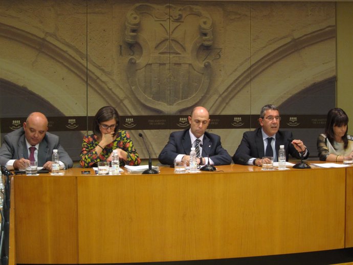El consejero Burgos en la comparecencia parlamentaria