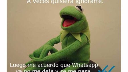 doble tick whatsapp