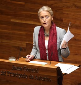 Cristina Coto, en la Junta General