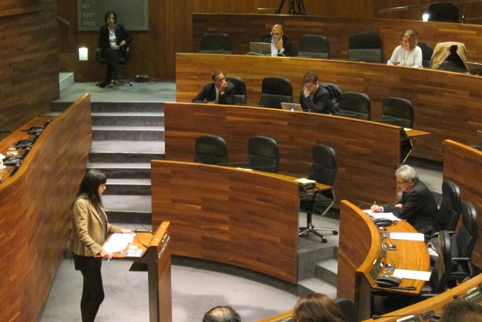 Susana López Ares en la Junta General
