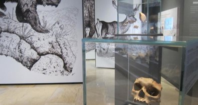 Cantabria Cultura y Deportes