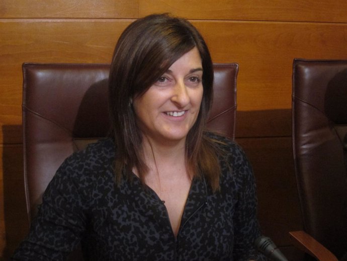 La consejera de Sanidad y Servicios Sociales, María José Sáenz de Buruaga