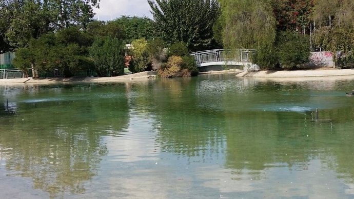 Lago el parque de Fofó