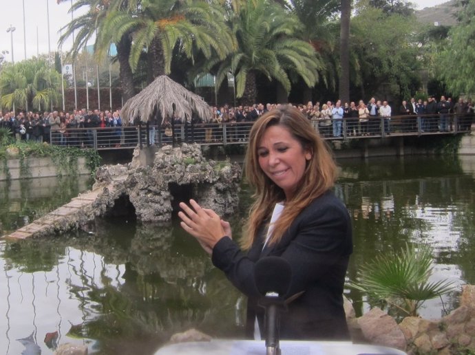 La líder del PP catalán Alicia Sánchez Camacho