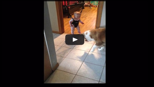 Perro enseña a saltar a bebé