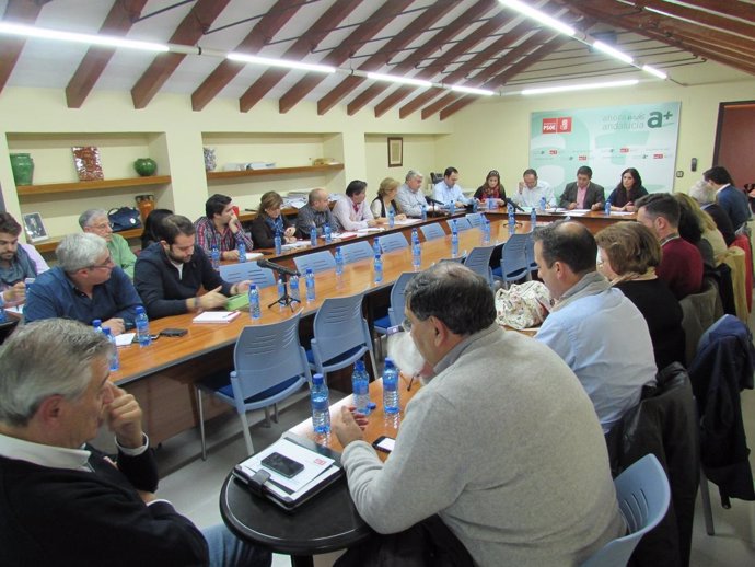 Reunión de la Ejecutiva del PSOE de Jaén, celebrada este lunes