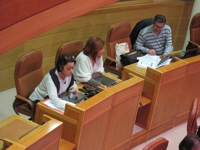 Grupo Mixto del Parlamento gallego
