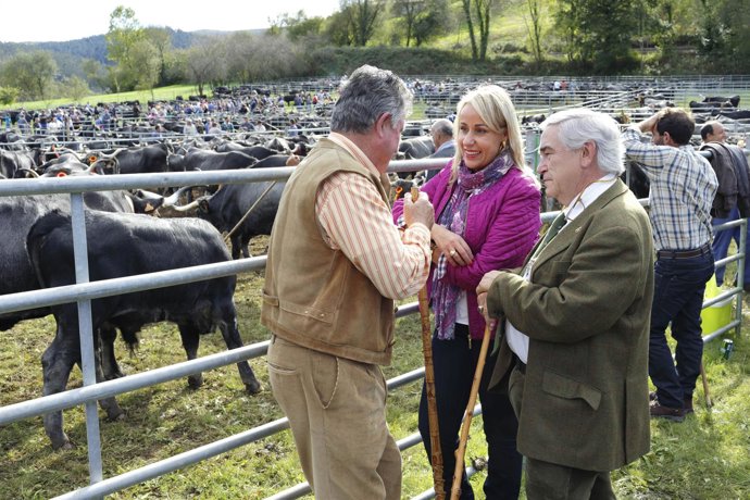 La consejera en la feria de ganado tudanco de Treceño
