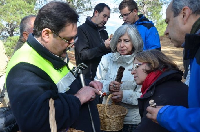 Curso de micología en el Centro de Vadillo-Castril, en la provincia de Jaén