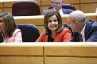 Báñez asegura que la 'tarifa plana' ha generado 150.000 contratos indefinidos