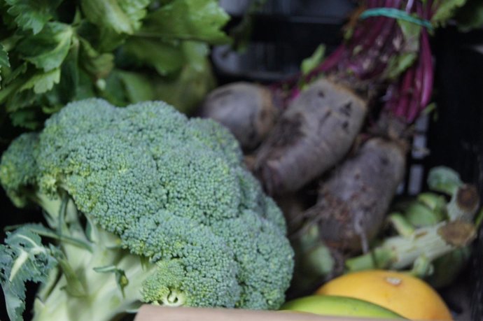 Recurso para verduras, hortalizas, fruta, alimentación