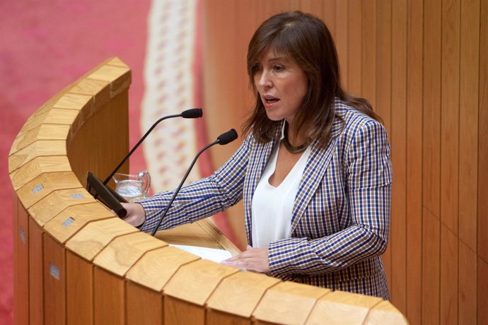 Beatriz Mato comparece en el pleno del Parlamento