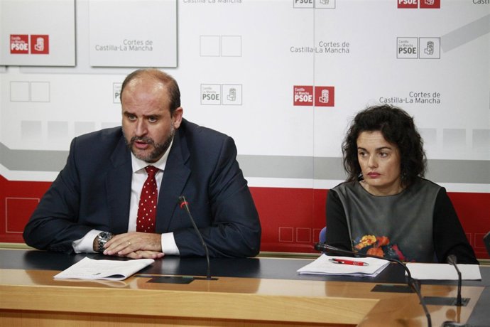 Guijarro, Delfina, Psoe