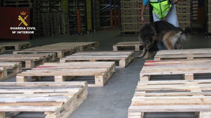 Operación Tadeo de la Guardia Civil contra una banda de traficantes