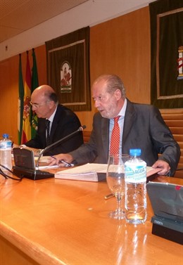 El presidente de la Diputación, Fernando Rodríguez Villalobos, en el Pleno