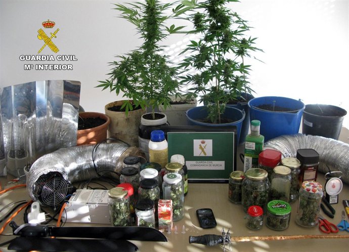 Imagen del material incautado