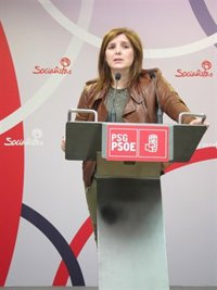 El PSOE dice que no busca "inmiscuirse en la vida" de Feijóo sino saber si Pachi Lucas obtuvo "ventajas" de su "amistad"