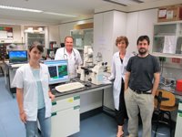 Hallan una nueva vía de investigación contra el cáncer de pulmón