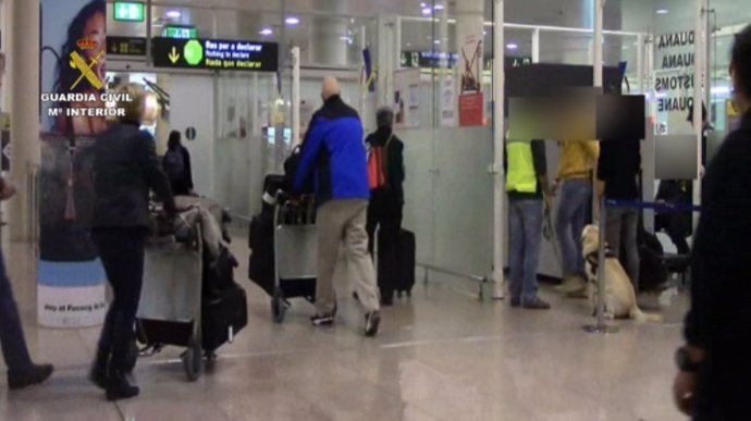 Perro detector de droga en el Aeropuerto de El Prat