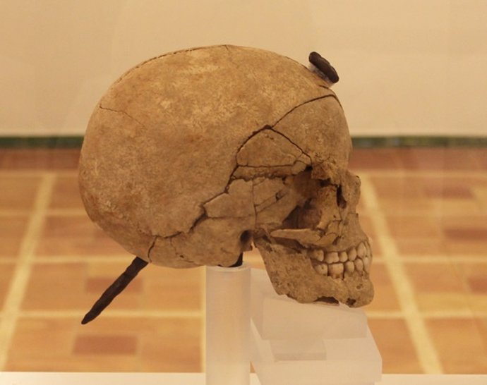 Cráneo enclavado de Ullastret