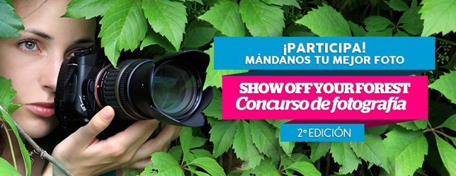 Show Off Your Forest 