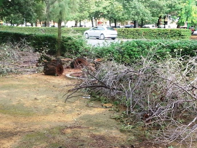 Estado de algunas zonas del Bulebvar.