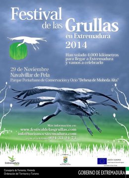 Cartel Grullas