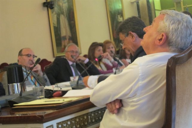 Emilio Huerta (IU) y Roberto Sánchez Ramos (IU) en un pleno municipal