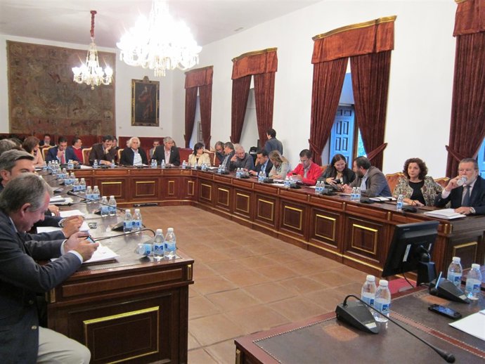 Sesión del Pleno de la Diputación de Córdoba