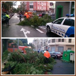 Caída de árbol en la calle San Sebastián
