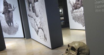 Cantabria Cultura y Deportes