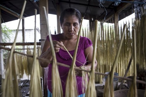 Procesadoras de Paja Toquilla. Mujeres de MAPEL