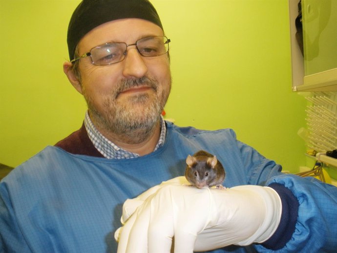 El profesor Guillermo López Lluch, del CABD, con uno de los ratones