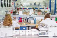 El Rey: La movilidad del talento no puede ser consecuencia de un paro "inaceptable"